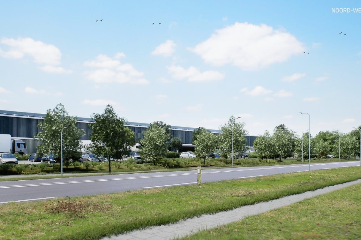 2301-NXT-BEL0603-E-Middel