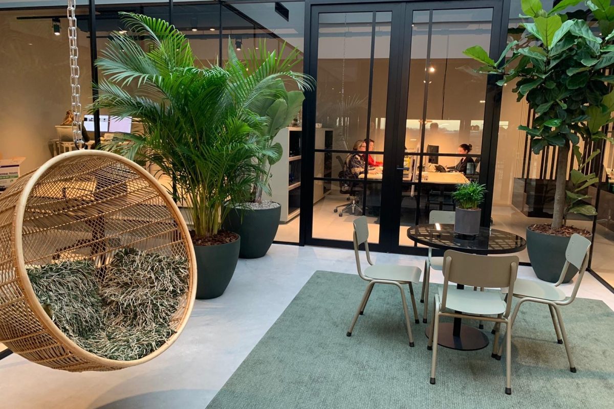 592a23ee-5850-4a17-976e-6c33d9cdc140