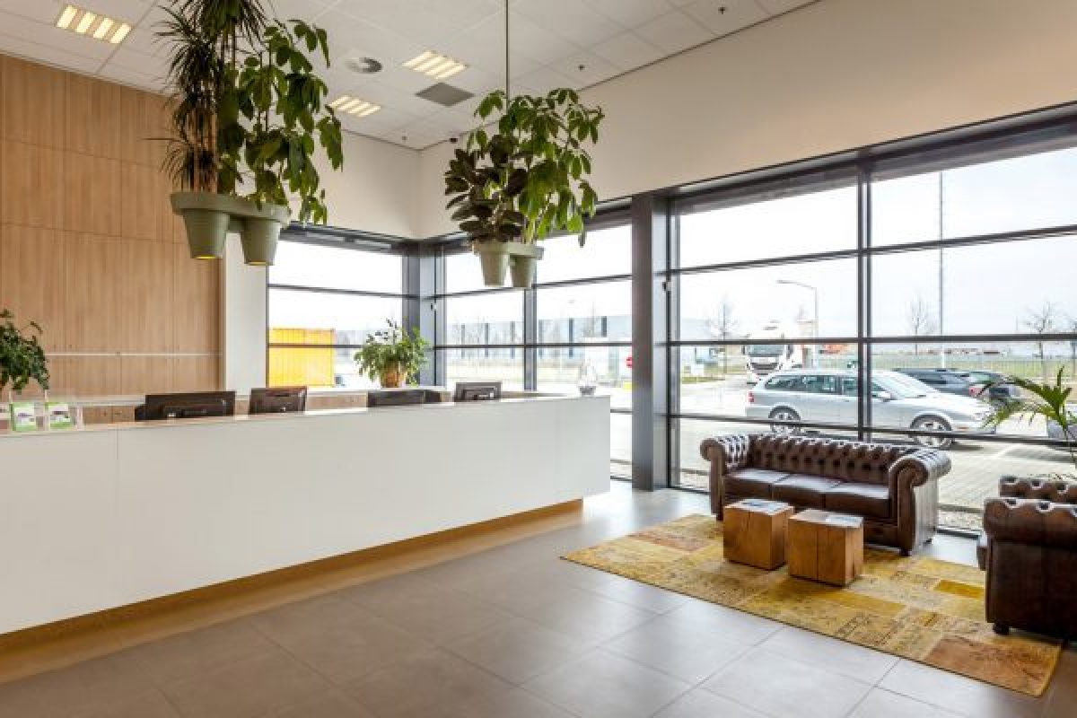 IMG_5619-Large-1920x1080-800x400