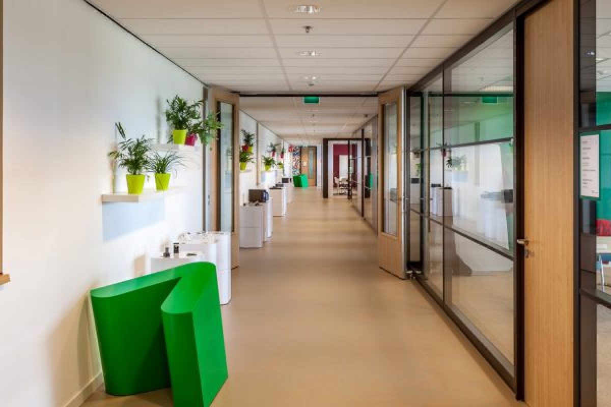 IMG_5624-Large-1920x1080-800x400