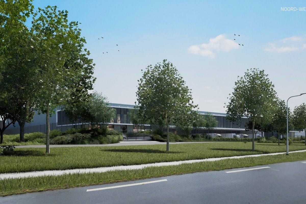 Optimized-2301-NXT-BEL0601-E