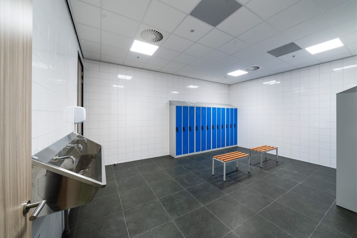 next_level_8397-Groot