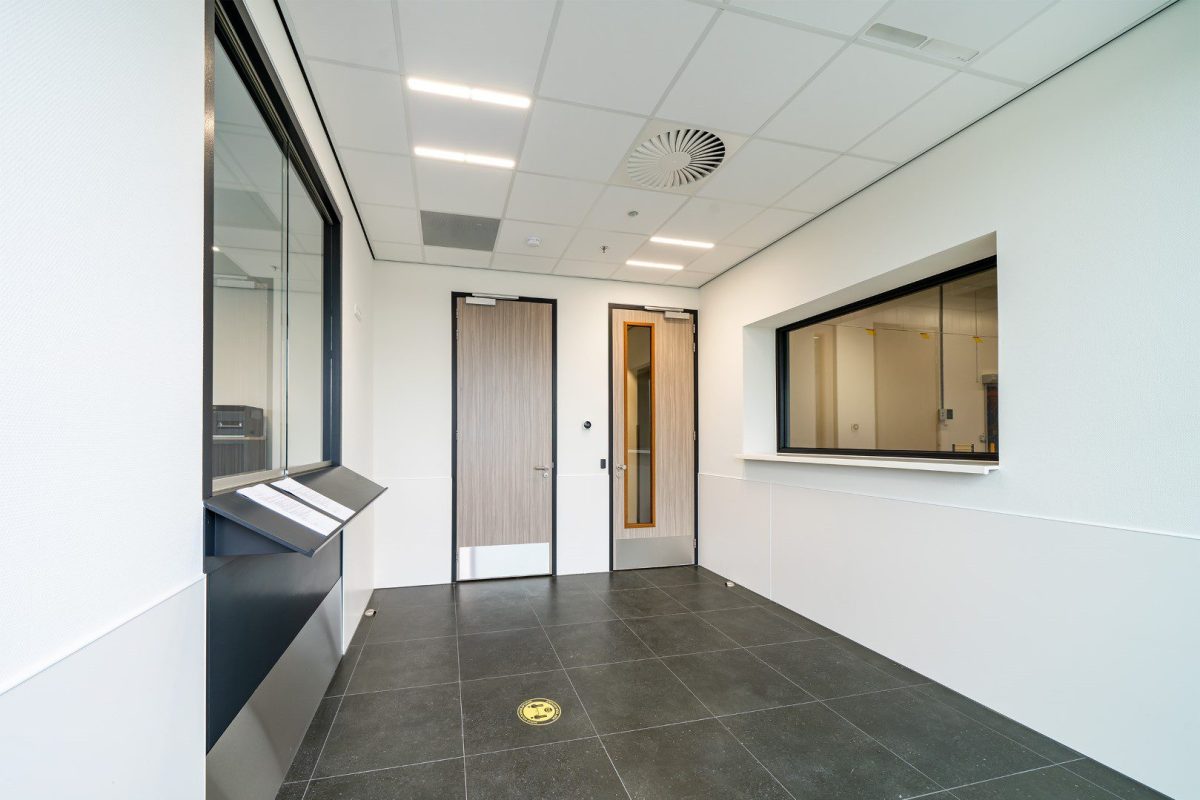 next_level_8403-Groot-e1587732513412