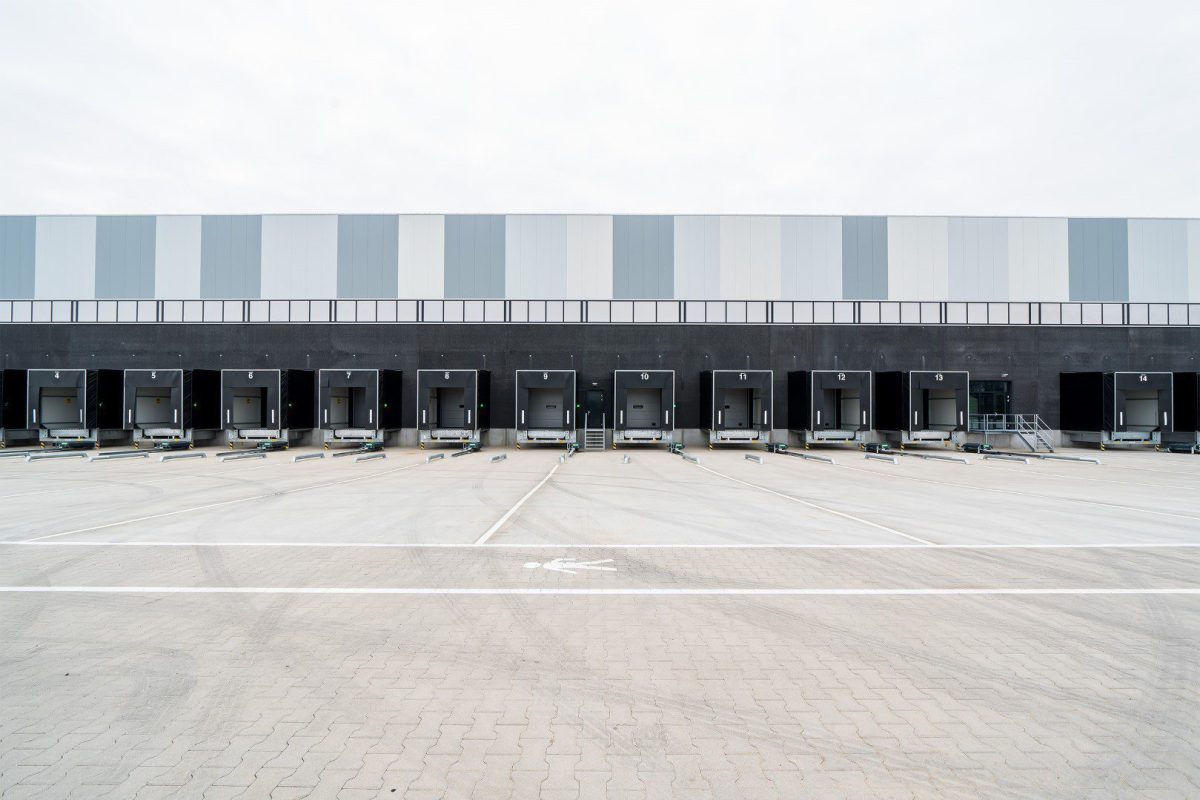 next_level_8438-Groot-e1587735481602